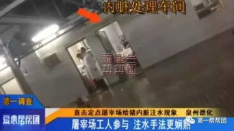 泉州生豬屠宰點曝注水丑聞，農(nóng)副產(chǎn)品安全引擔(dān)憂